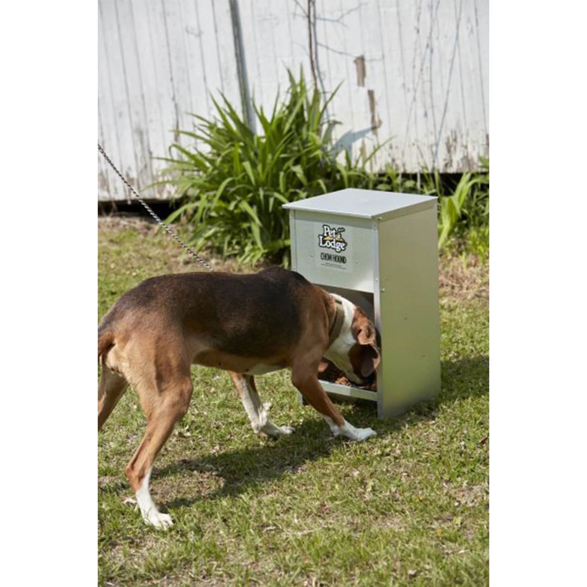 Dry Food Automatic Steel Dog Feeder Chow Hound 25 Pound Capacity