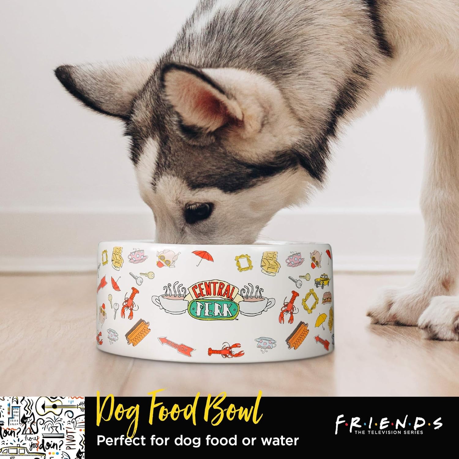 Warner Bros Friends TV Show Ceramic Dog Food Bowl, Multiple Styles | Dog Bowl, Friends TV Show, Friends Merchandise for Friends Fans | Dog Water Bowl or Dog Food Bowl for Wet or Dry Food