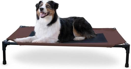 Original Pet Cot Elevated Dog Bed Chocolate/Black Mesh Large 30 X 42 X 7 Inches