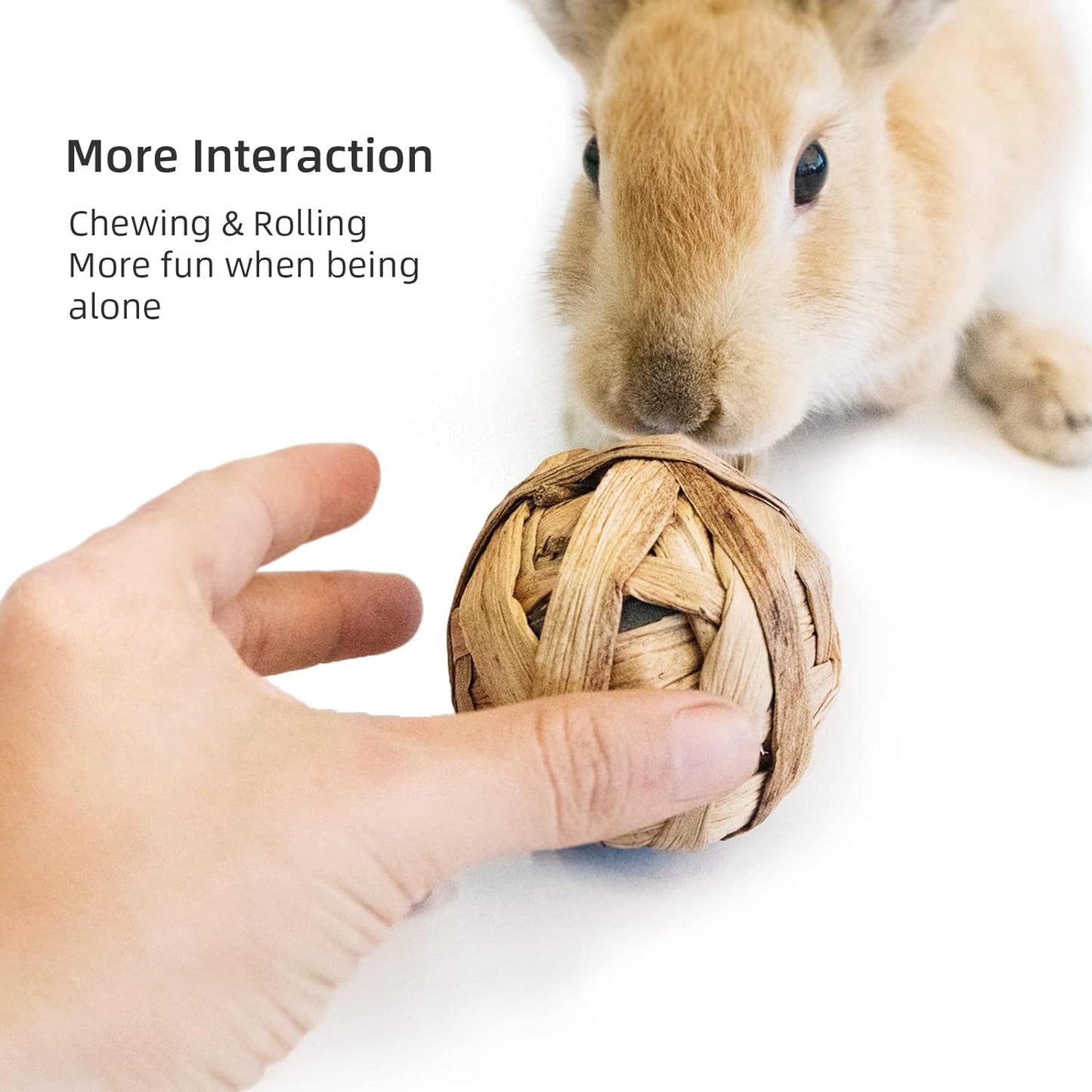 Small Animals Play & Activity Balls Rolling Chew Toys for Rabbits Guinea Pigs Chinchilla