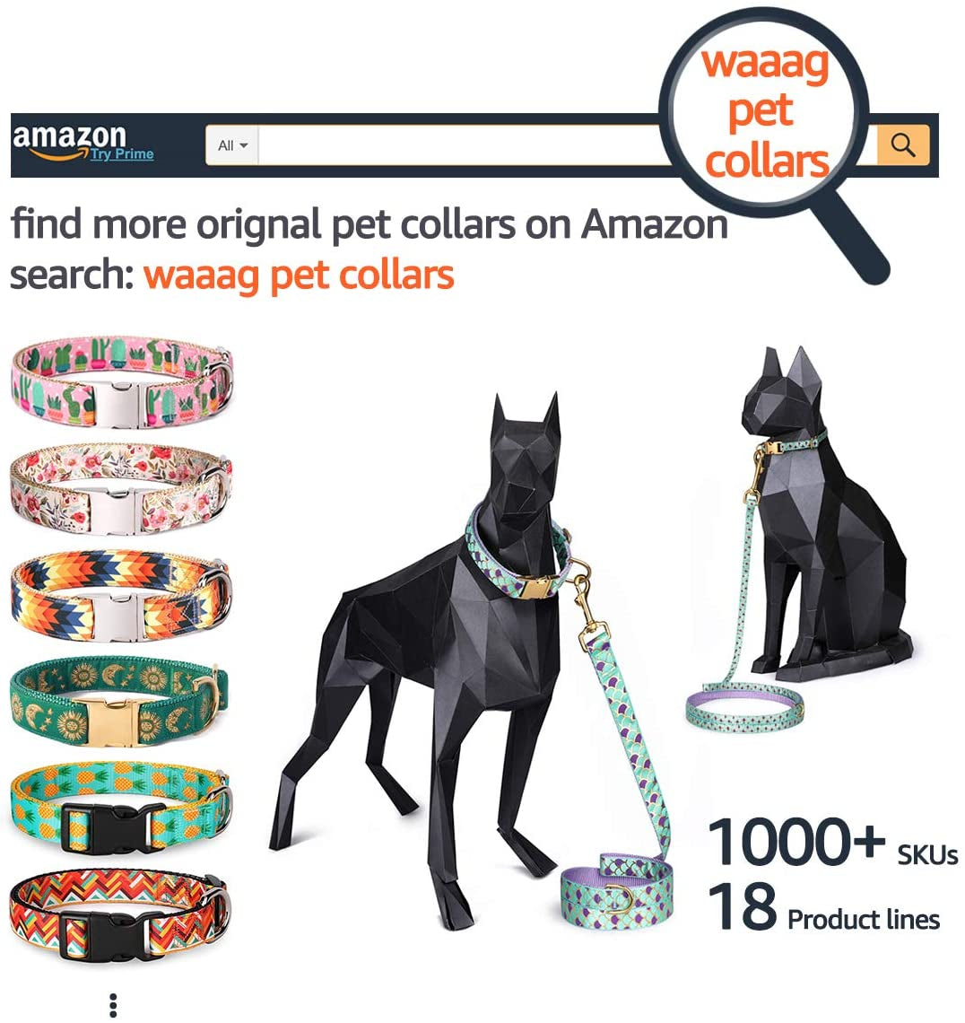 Pet Supplies, (Summer Blooms) Cat Collar, Dog Collar, Cat Leash, Dog Leash, Small Dog Collar, Medium Dog Collar, Large Dog Collar