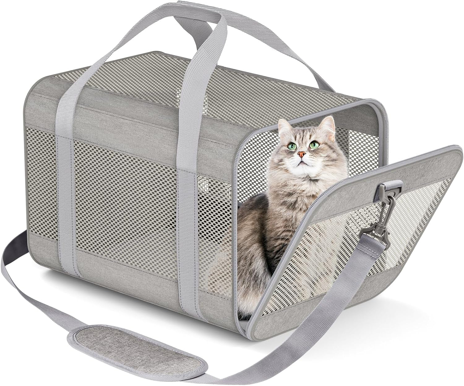 Pet Carrier Airline Approved Pet Carrier Dog Carriers for Small Dogs, Cat Carriers for Medium Cats Small Cats, Small Pet Carrier Small Dog Carrier Airline Approved Dog Cat Pet Travel Carrier