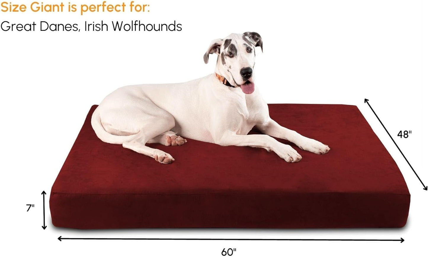 7" Pillow Top Orthopedic Dog Bed for Large and Extra Large Breed Dogs (Sleek Edition) (Giant (60 X 48 X 7), Burgundy)